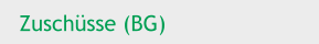 Zuschüsse (BG)